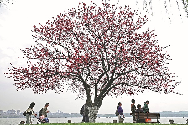 spring blooms give a boost to tourism
