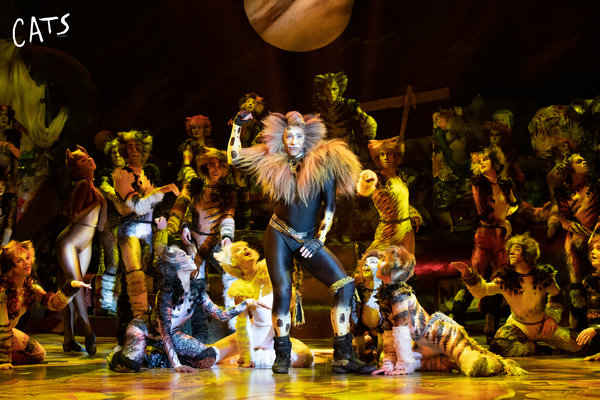 'cats the musical' on tour across china