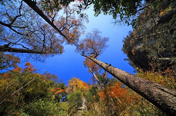 hangzhou to host unesco biosphere conference in 30 days