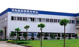 wanxiang group