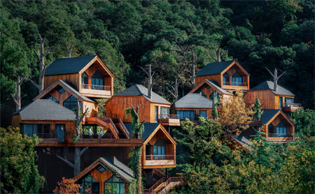 us architect spotlights whimsical tree house resort