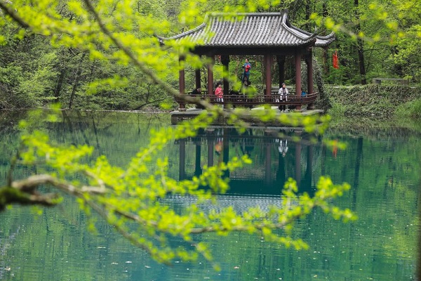 china's ecological push in focus as unesco biosphere program outlines future roadmap